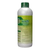 ASCO 25